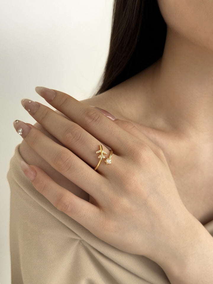 World Traveler Ring